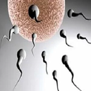 Consumption of processed, chemical foods linked to infertility