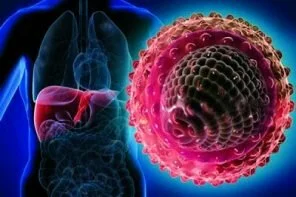 How to Protect your Liver from Hepatitis Infection