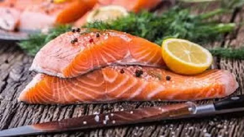 Trial to test if GM fed salmon are more nutritious