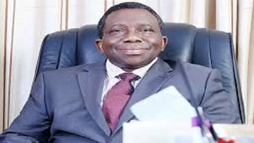 Nigeria's Health Minister Advocates Six Months Maternity Leave